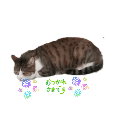 zacczacc_20260420112248