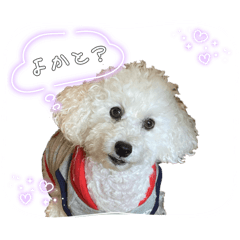 hanna_20260420123858