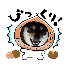 mochan_20260420181942