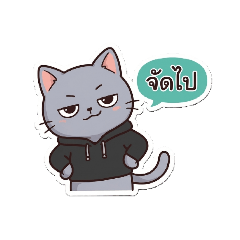 Seffy Cat: Just Vibing