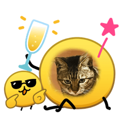 各種可愛-貼圖！