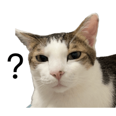 妹妹皮卡小愛三合一