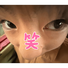 Fukuyama_20260420200734