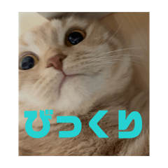 sirahu_20260420200511