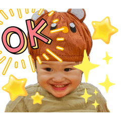 birds ch_20260420200900