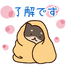 PAKAMOGOLY_20260420124910