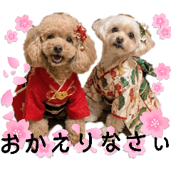 takayo_20260417125723