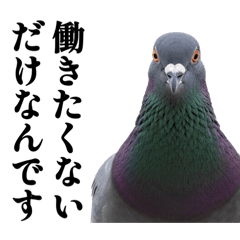 kanako_20260420125402