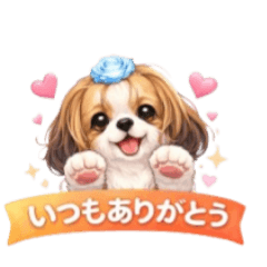 Dream Hamada_20260420183243