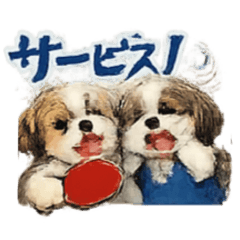 Yon love_20260420183653