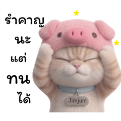 Pink Bow_20260420131159