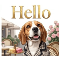 Firsty the beagle EN1