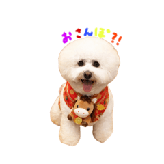 nyankodaisennsei_20260420163845