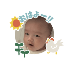 purple_20260420165043