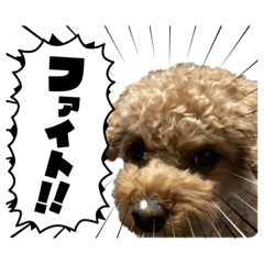 noriko_20260420192421