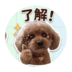 tara_20260420210526