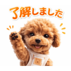 sorane_20260420181151