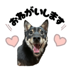 Anko tokidoki Natsu dayo