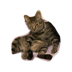 予薰ㄉ咪咪咪咪咪