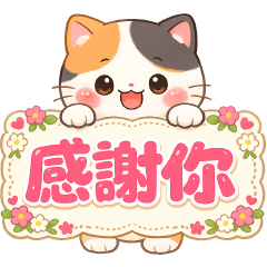 可愛貓實用日常