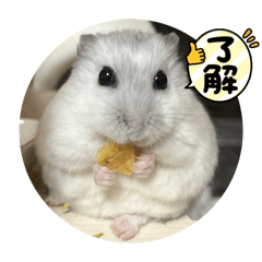 KASUMIsaaaaaan_20260420202159