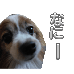 socchi_20260420201602