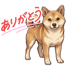 shipepe.ohkita_20260420202417