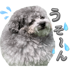 yuka_20260420202911