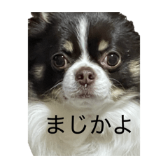 osono_20260420173520