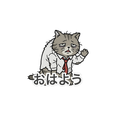 Dead Tired Salary Cat