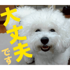 Mugi funny_20260420110230