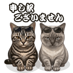 Polite Pressure Cat Stickers