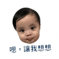 靈芝寶寶伊比鴨鴨