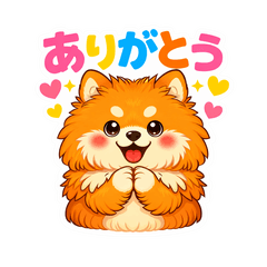 Fluffy Pomeranian Daily Life24