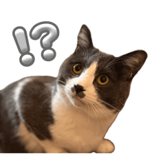 fuukawa_20260420193130