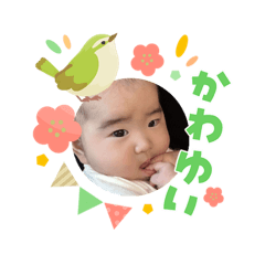 Sskryr_20260420212602