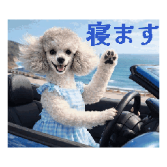 Animated Dog Family2: Useful Phrases