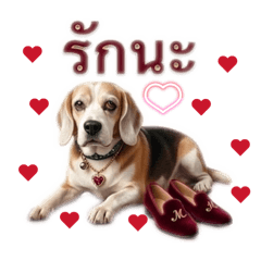 Friendly the beagle EN1