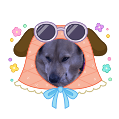 WKworawut_20260420155905