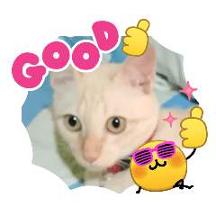 Srinuan Shop_20260420161032