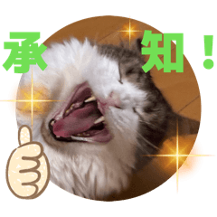 sabinko house_20260420182000