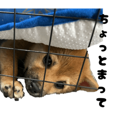 tenmama_20260420181252