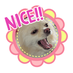 merrykun_20260420211839