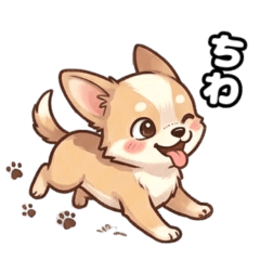 関西弁チワワさん ４