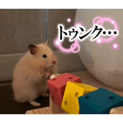 Hidachan_20260420221653