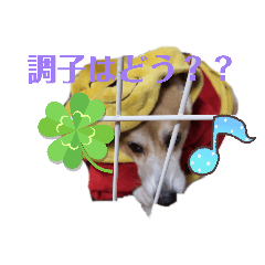 matukin_20260420233431