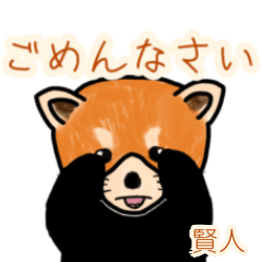 Kenzin's lesser panda (2)
