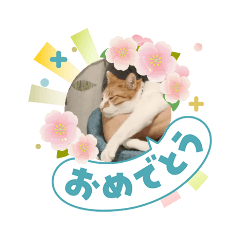 asu-kun and hoshi-kun