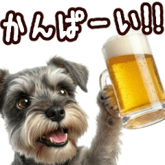 A Schnauzer jumps out