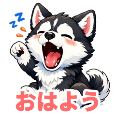 Fluffy Siberian Husky Life